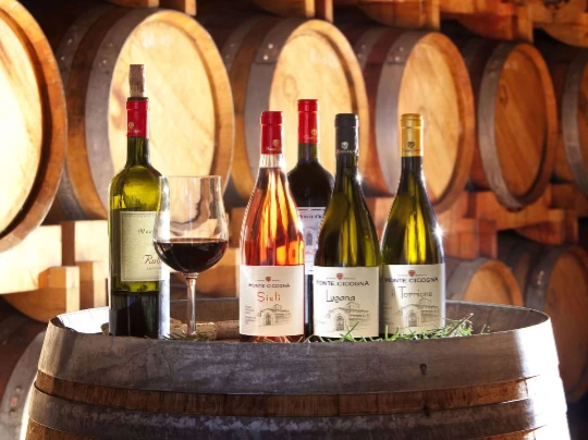 Degustazione: Cantina Monte Cicogna di Moniga